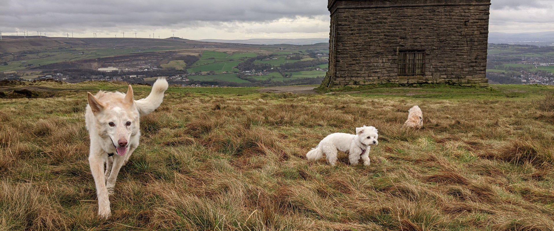 Wild and windy walks
