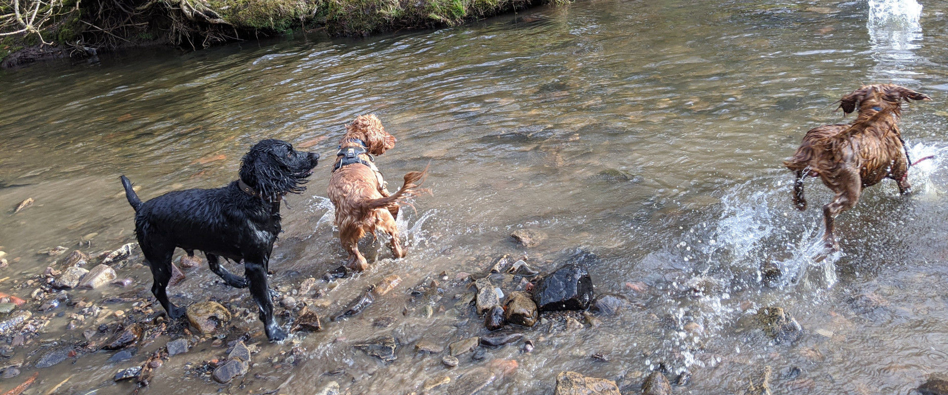 Paddling in the sunshine