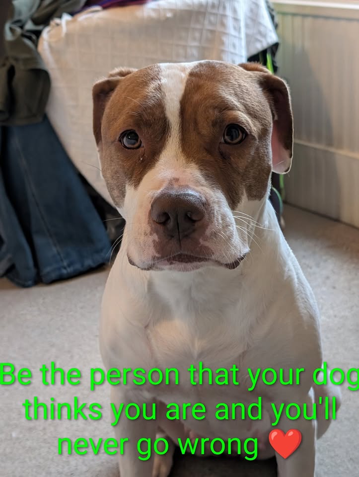 Facebook album photo