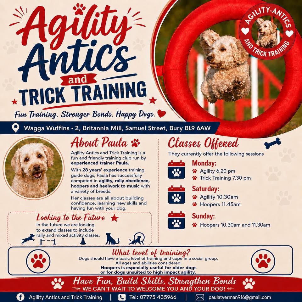 An unashamed plug of my friends fabulous business.
Agility Antics and Trick Training 
Paula Tyerman ❤️
If you want to do something that really bonds you with your dog, I strongly recommend Paula's classes ❤️
